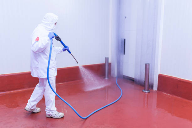 Best Roof Washing  in Berwick, LA
